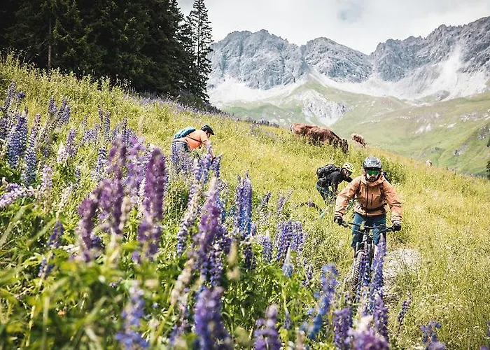 Quality Hosts Arlberg - Afoch Fei - לינה וארוחת בוקר סן אנטון