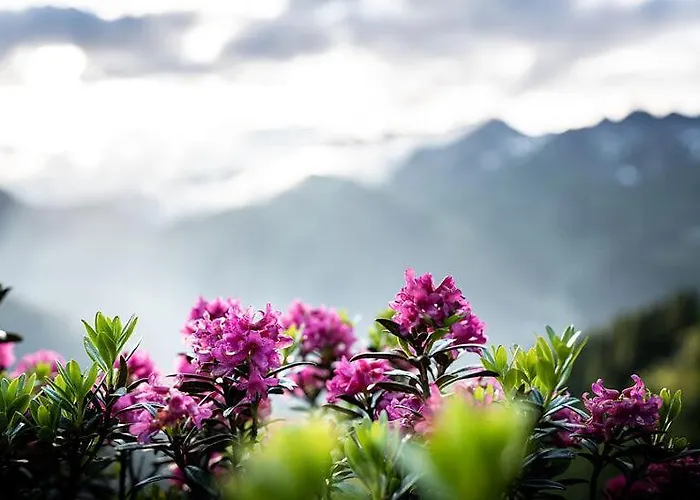 Quality Hosts Arlberg - Afoch Fei - לינה וארוחת בוקר סן אנטון