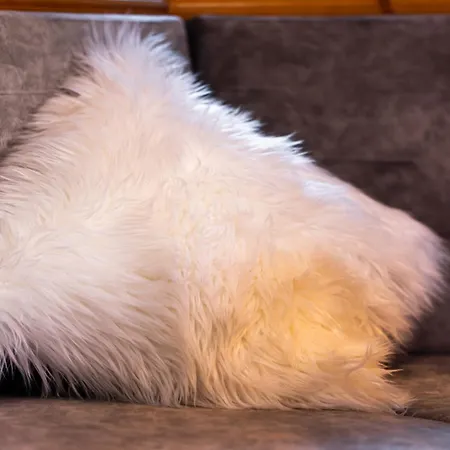 Quality Hosts Arlberg - Afoch Fei - Nocleg ze śniadaniem